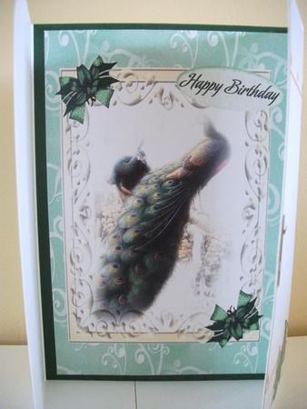 Beautiful Misty Peacocks Gatefold by Jane Wallace
