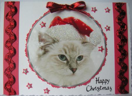 Xmas Cat Christmas Bauble Ornament by Jane Wells