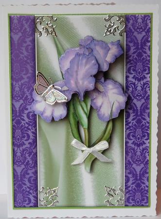 Purple Iris Quick Card by Jane Wells