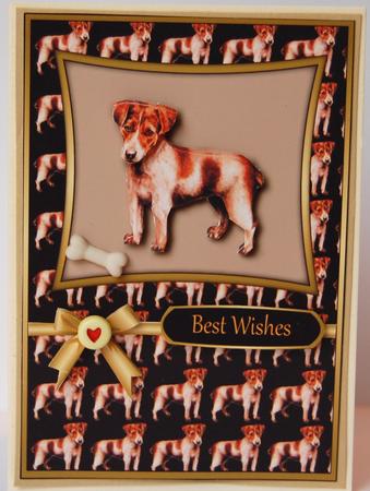 Jack Russell by Jane Wells