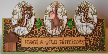 Wild Birthday Dl Ote by Jane Wells