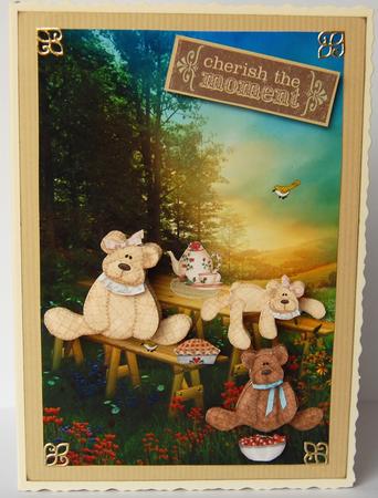Teddy Bears Picnic by Jane Wells
