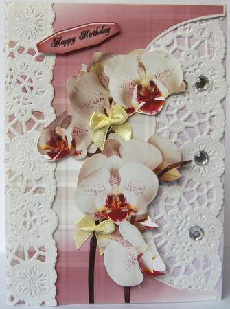 Over the Edge Orchids by Jane Wells
