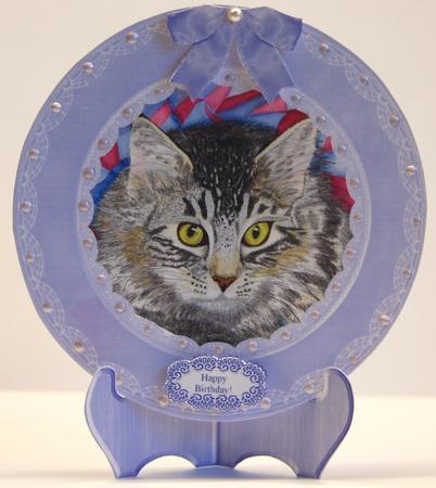 Tabby Cat Blue Plate Card & Stand & 5 x Sentiments by Jane Wells