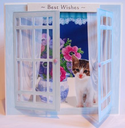 Acetate Open & Shut Windows - Anemones & Tabby Cat Card by Jane Wells