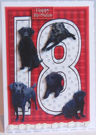 Black Labrador 18th Birthday Card by Jane Wells