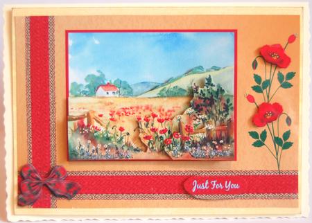 The Poppy Field by Jane Wells