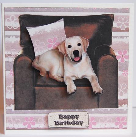 Golden Labrador Sat in a Chair by Jane Wells