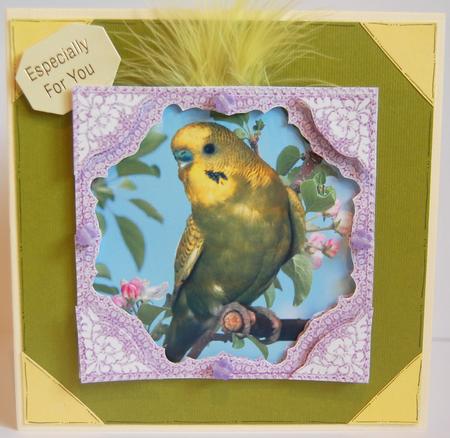 Scooby the Budgerigar Decoupage Lace Frame Corner Stacker by Jane Wells