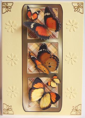 Tri Panel - the Butterfly Collector by Jane Wells