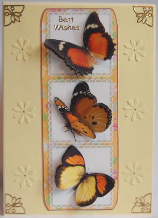 Tri-lace Panel - Butterflies by Jane Wells