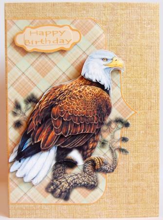 Eagle Card Front & Step by Step by Jane Wells