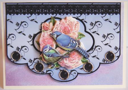 Floral A4 Scallop Edge 'n Lace Card Front - Light Blue by Jane Wells