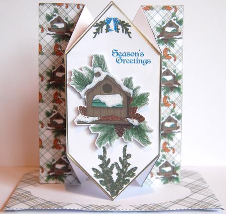 Winter Birdhouse - Diamond Fold Card by Jane Wells