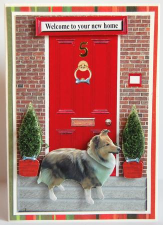 Shetland Sheepdog with a Red Door by Jane Wells