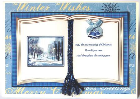 A Snowy Christmas in the Park Book Card Front by Jane Wells