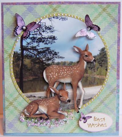 2 Little Deers in Forest by Jane Wells