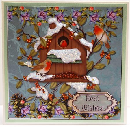 Robins Delight by Jane Wells