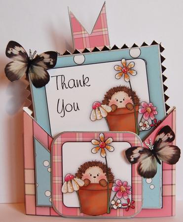 Criss Cross Pocket Thank You Hedgehog by Jane Wells