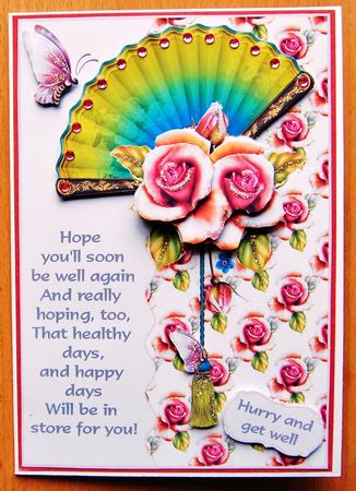 Fan and Roses Get Well by Jane Wells