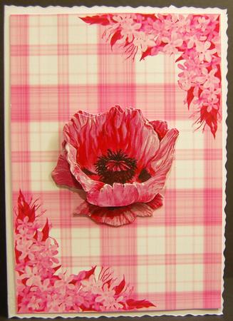 Floral Corner Background 8 by Jane Wells