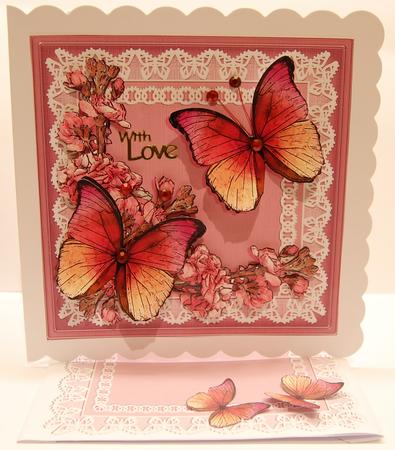 8 x 8 Butterflies Flowers N Lace Kit with 3D Decoupage by Jane Wells
