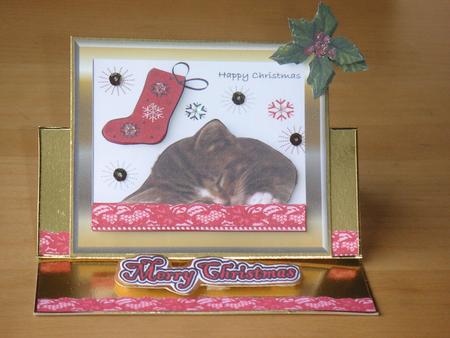 Cute Little Pussy Cat Sleeping by Jane Wells