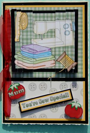 You're Sew Special Side Stacker Card Front by Jane Wells