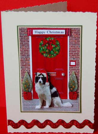 Border Collie on a Christmas Door Step by Jane Wells