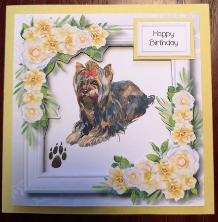 Beautiful Yorkshire Terrier & White Camellias 8x8 by Jane Williams