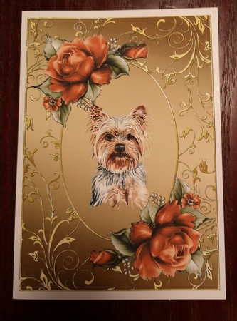 Yorkshire Terrier Dog And Roses Card Front by Jane Williams
