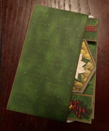 Christmas Wishes - Hexegon Trifold Card by Jane Williams