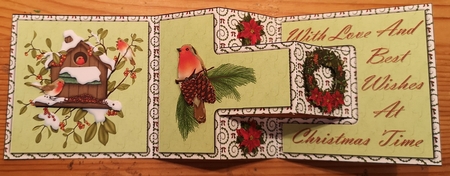 Christmas Robins Tri Fold Card by Jane Williams