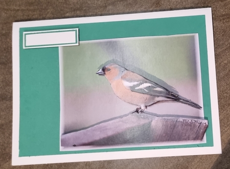 Chaffinch Garden Bird Decoupage Sheet by Jane Williams