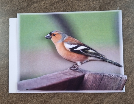 Chaffinch Garden Bird Decoupage Sheet by Jane Williams