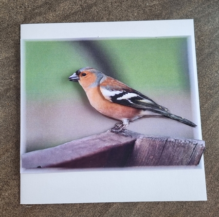 Chaffinch Garden Bird Decoupage Sheet by Jane Williams