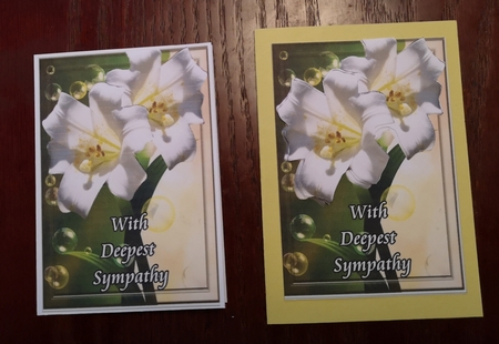 Sympathy 6 by Jane Williams