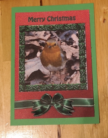 Christmas Robin with Holly Frame 3 by Jane Williams