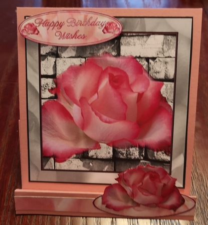Sympathy Pink Rose on Wall by Jane Williams