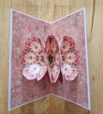 Pop-flower Card Kit - Daisy Ring by Jane Williams