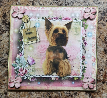 Happy Birthday Yorkshire Terrier  by Jane Williams