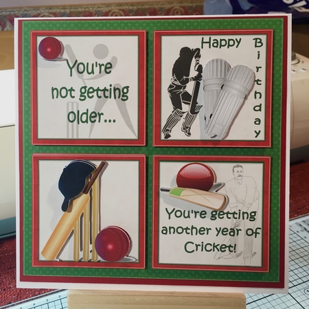 8x8 Another year of cricket mini kit by Jane Amber