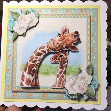 Cutest Giraffes  by Jane Amber