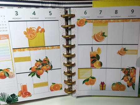 ORANGES by Jane Amber