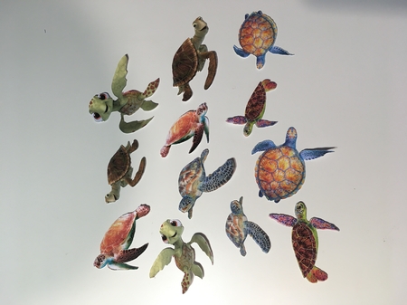 SEA TURTLES by Jane Amber