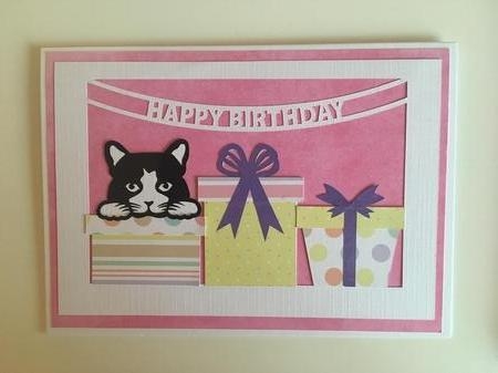 Birthday Cat Card by Jane Amber
