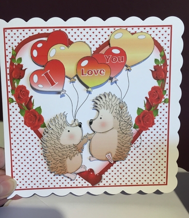 Hedgehog love by Jane Amber