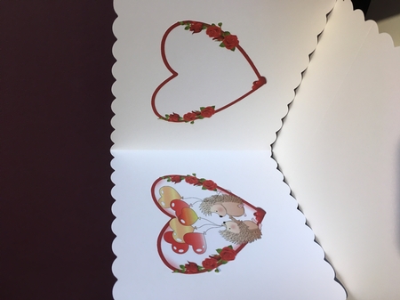 Hedgehog love insert by Jane Amber