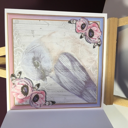 Birds of a feather 1  by Jane Amber