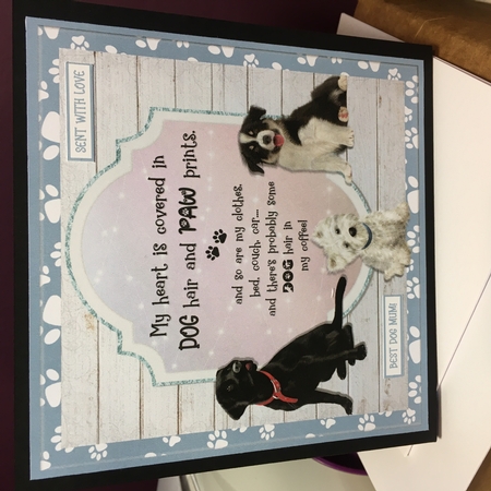DOG HAIR - mini kit by Jane Amber